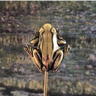 Bookmark Frog